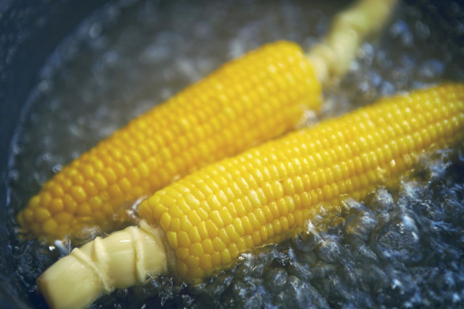 Precision sous-vide water bath setup with temperature monitoring